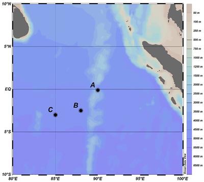 Changes in size-dependent Chlorophyll a concentration and group-specific picophytoplankton abundance in short-term nutrient-addition experiments in the Equatorial Eastern Indian Ocean